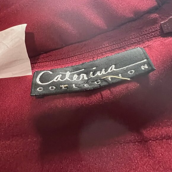 Caterina Collection Red Lace Embellished Gown - Picture 7 of 10